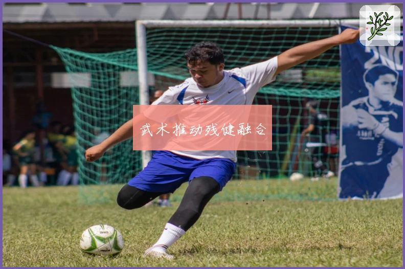 武术推动残健融合